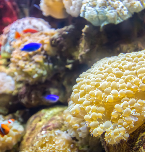 攜手噶瑪蘭族 恢復「萬物生養之地」