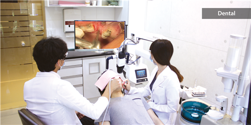 SOMETECH 4K 3D Digital Surgical Microscopy Imaging System