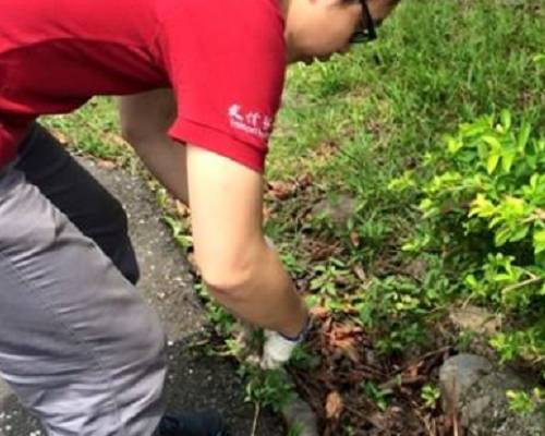 友信醫療集團CSR活動月-伊甸志工篇