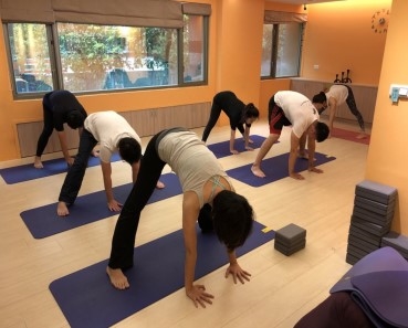 Adult Yoga