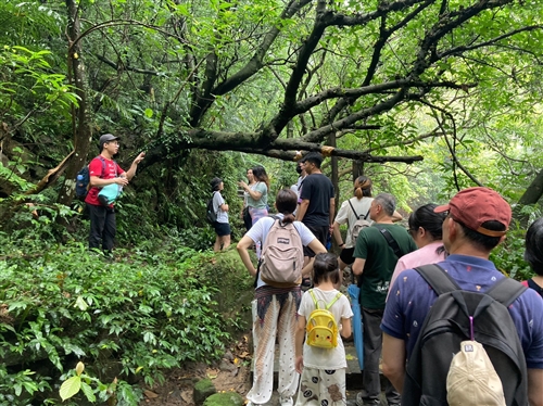 2023友信造林計畫 – 生態體驗前進大溝溪、傾聽樹的聲音